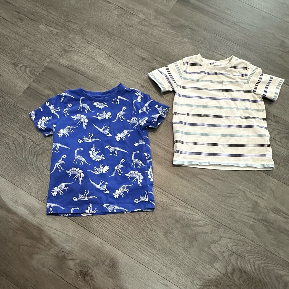 Lot of 2 C & C California Kids Tshirts size 2T